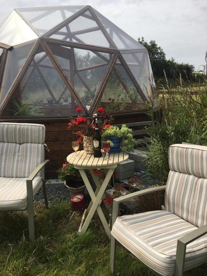 Tobernaglough Wexford Pet Friendly Country B&B Ramsgrange Екстериор снимка