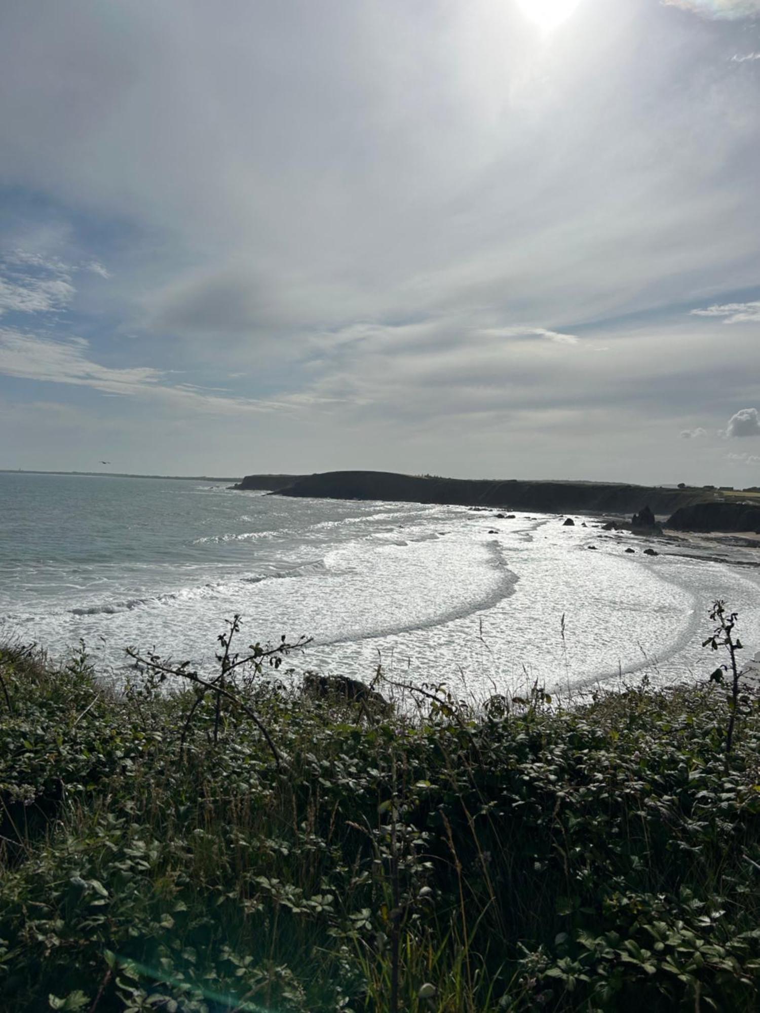 Tobernaglough Wexford Pet Friendly Country B&B Ramsgrange Екстериор снимка