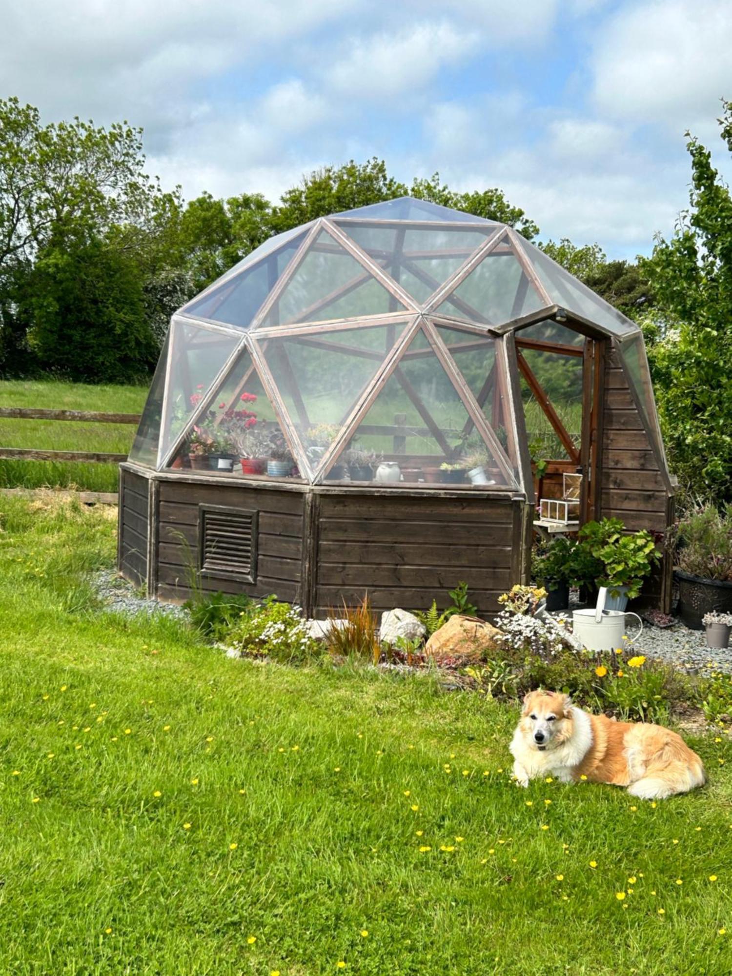 Tobernaglough Wexford Pet Friendly Country B&B Ramsgrange Екстериор снимка