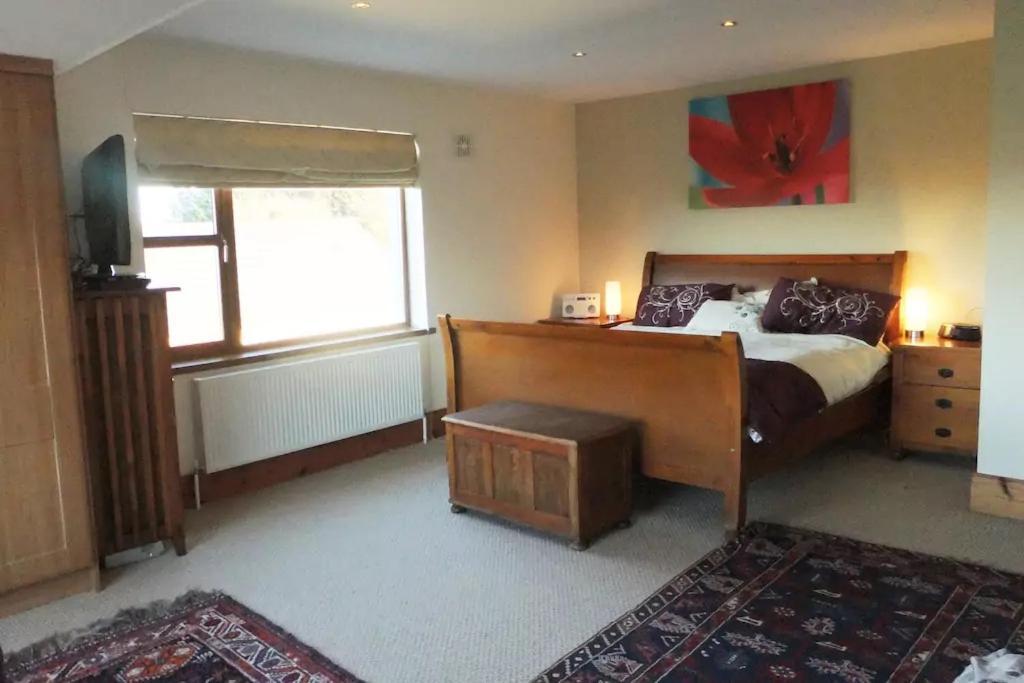 Tobernaglough Wexford Pet Friendly Country B&B Ramsgrange Екстериор снимка