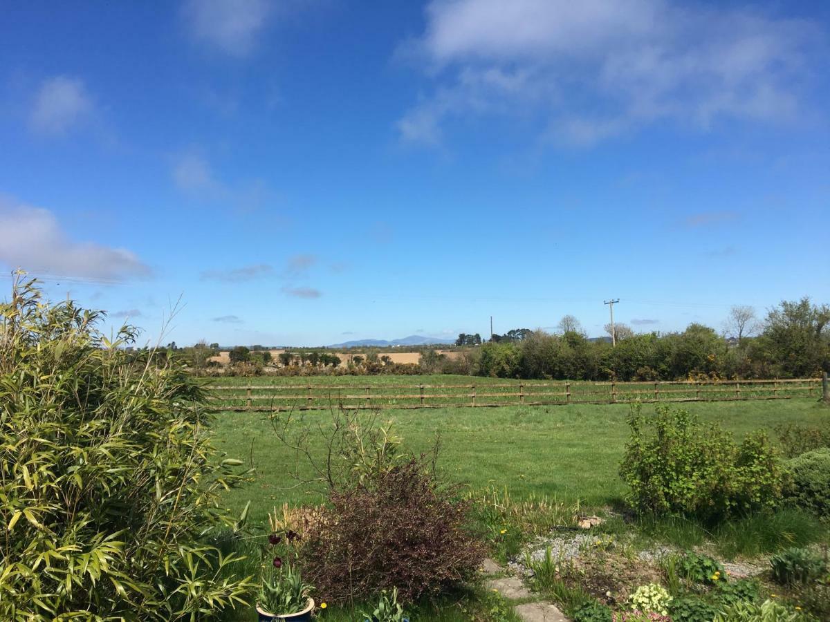 Tobernaglough Wexford Pet Friendly Country B&B Ramsgrange Екстериор снимка
