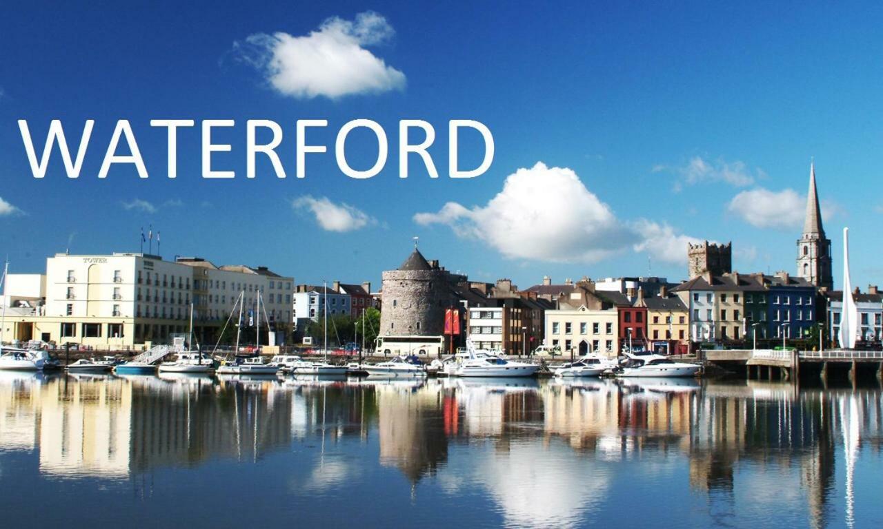 Tobernaglough Wexford Pet Friendly Country B&B Ramsgrange Екстериор снимка