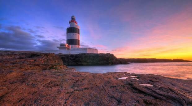Tobernaglough Wexford Pet Friendly Country B&B Ramsgrange Екстериор снимка