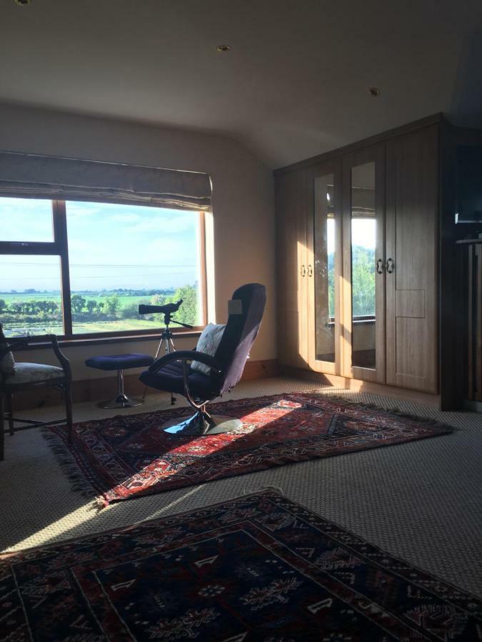 Tobernaglough Wexford Pet Friendly Country B&B Ramsgrange Екстериор снимка