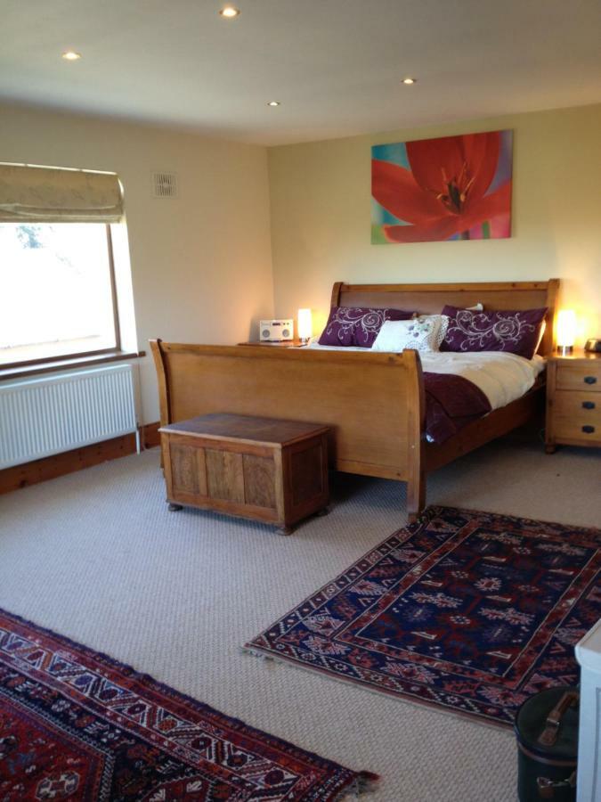 Tobernaglough Wexford Pet Friendly Country B&B Ramsgrange Екстериор снимка